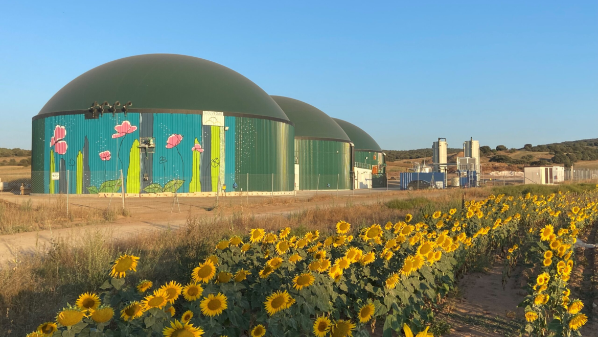 Biometano, el futuro verde